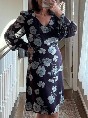 Cabi Floral Sheer Sleeve Dress Blue Purple Romantic Feminine V Neck